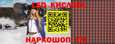 эйфоретик Владимир