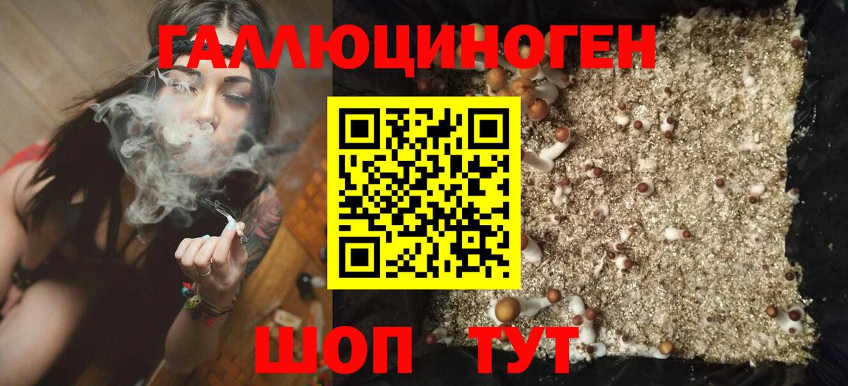 Баксан  Псилоцибиновые грибы Magic Shrooms  Галлюциногенные грибы MAGIC MUSHROOMS  Вход с VPN 