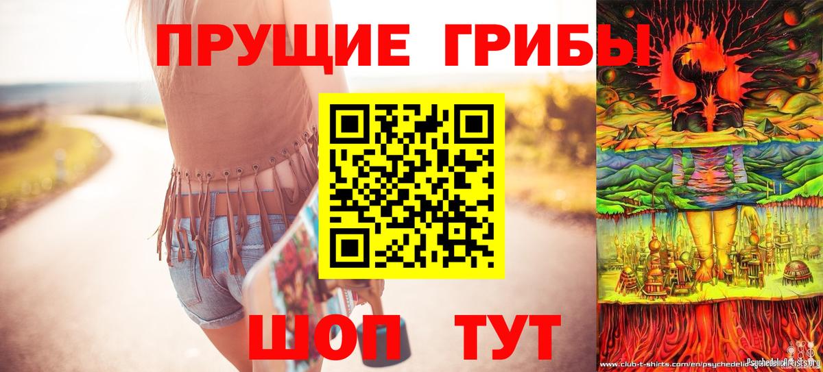 Псилоцибиновые грибы прущие грибы Баксан